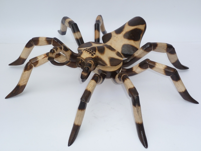 Wooden Brown Spotted Spider